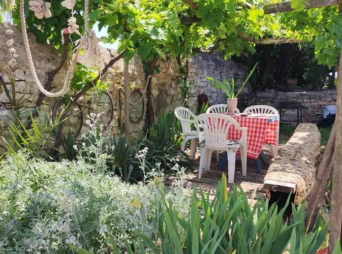 Budget Cozy Apartamento