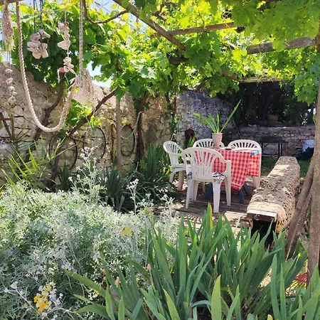 Budget Cozy Apartment